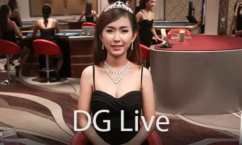 Bigbunny Live Casino