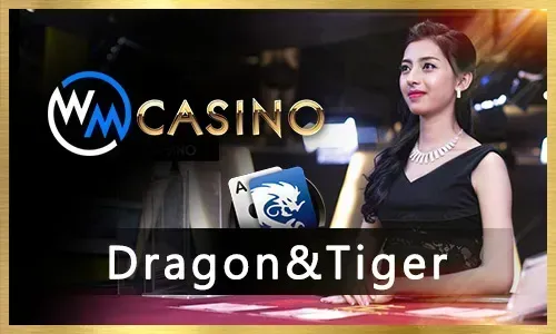 Bigbunny Sports Betting